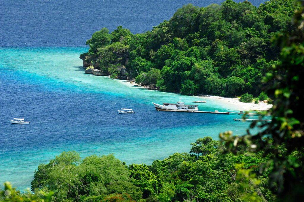 Moyo Island, Sumbawa, an exclusive destination in NTB visited by many world artists