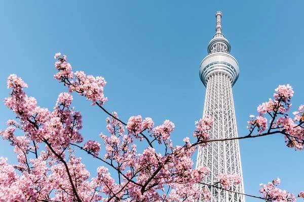 5 Recommended Tourist Attractions in Japan